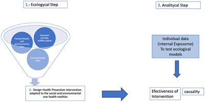 Integrating the exposome and one health approach to national health surveillance: an opportunity for Latin American countries in health preventive management